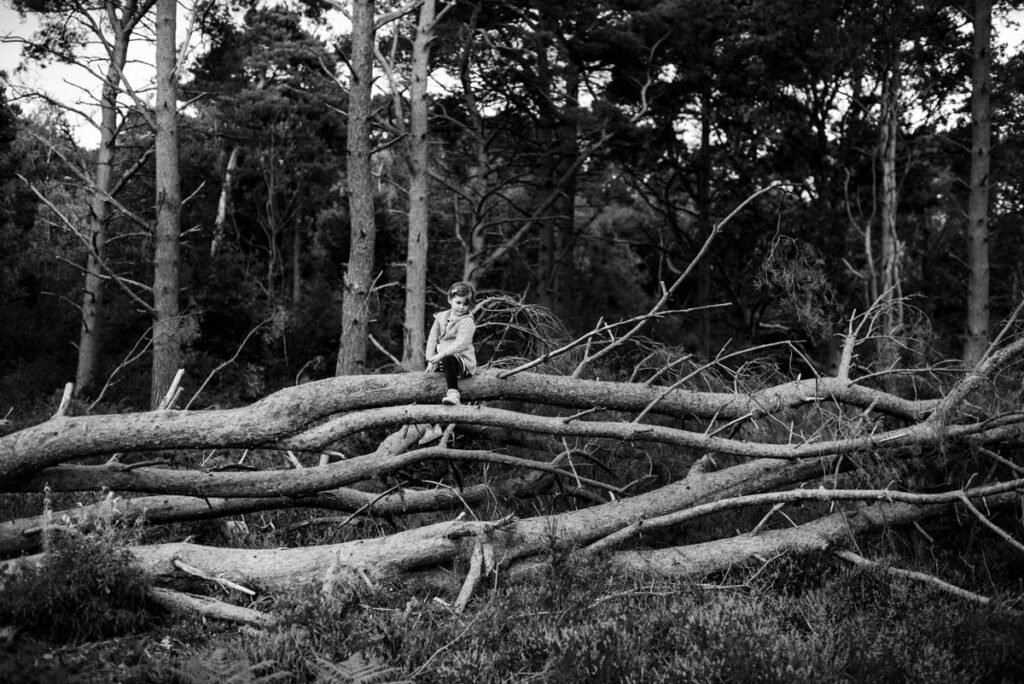 Little girl on logs in the park