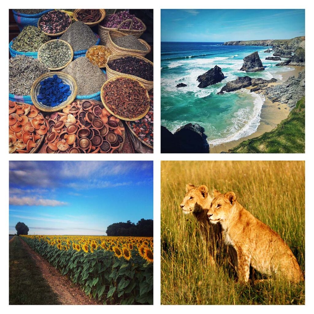 A collection of travel photos